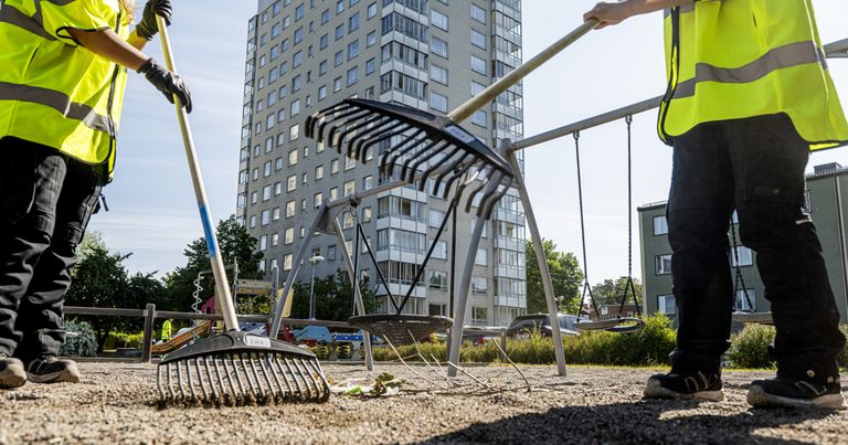 Person krattar på en lekplats i ett bostadsområde.
